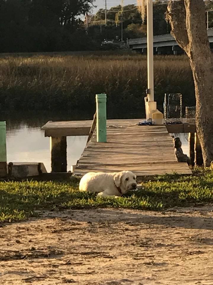Additions — Dock 9