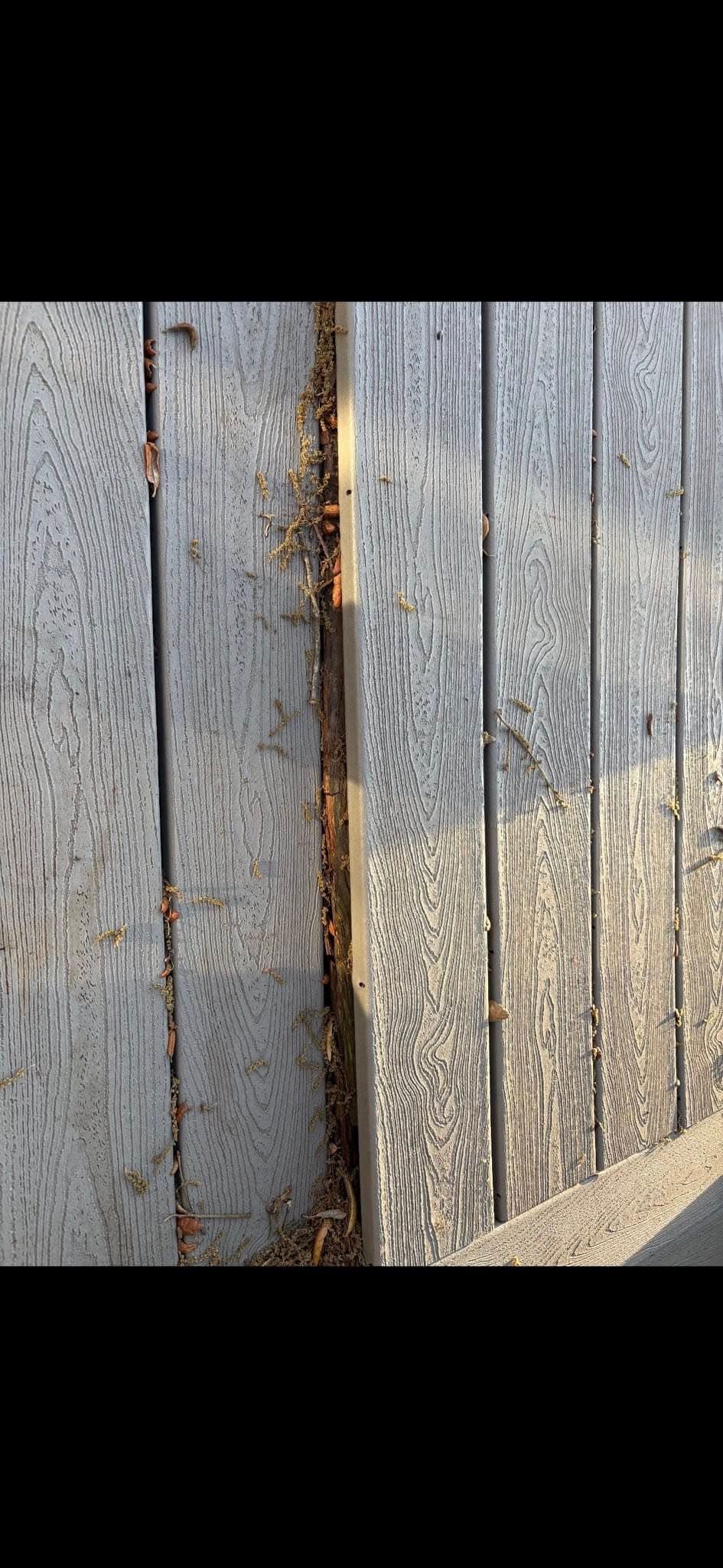 Decks — Porch 13