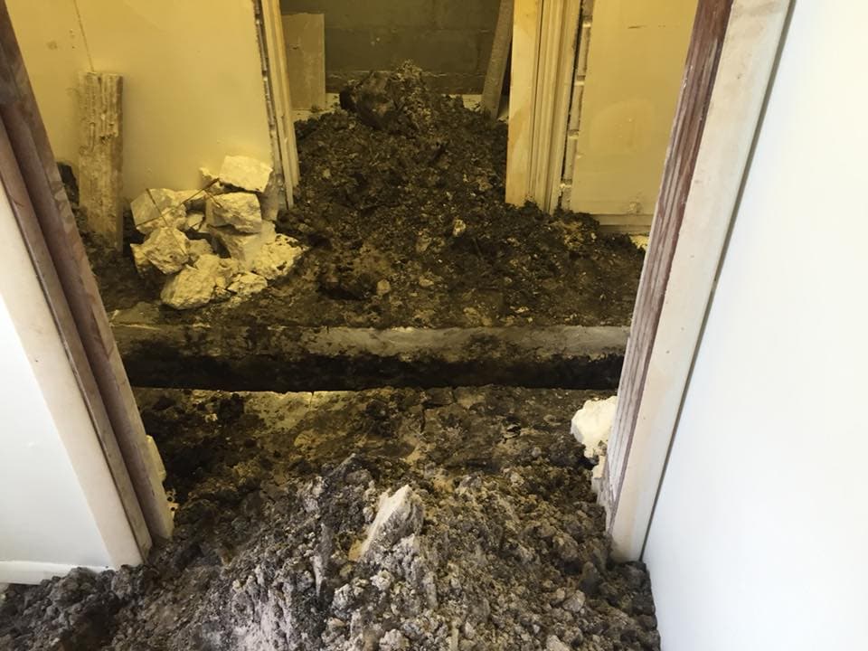 WDO Work — Hallway 4
